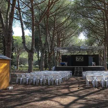 Club Feriested 4*